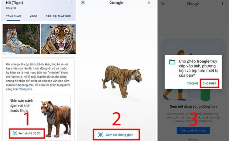 Các bước xem hình hổ 3D trên Google 3D Animals